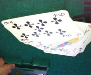 IMG 0239 500 470 copy